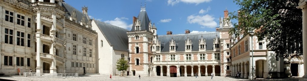 chateau de Blois