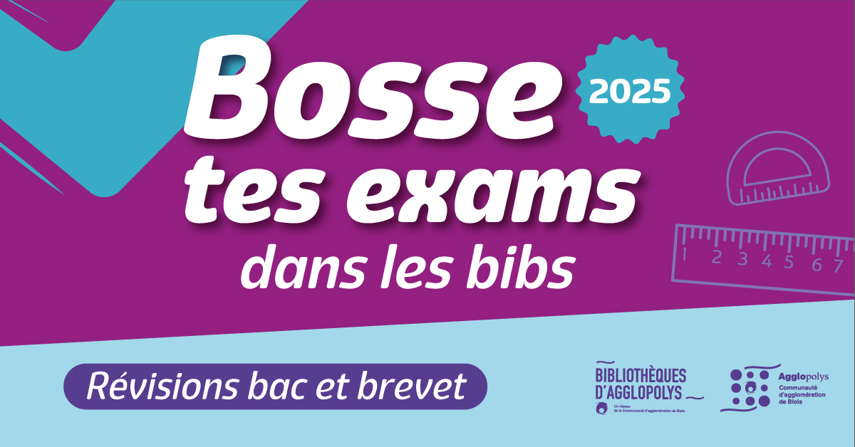 Affiche Bosse tes exams 2025 dans les bibs