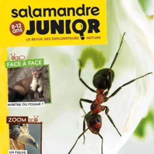 Salamandre Junior (revue) : La revue des explorateurs nature | Perrot , Julien. Directeur de publication