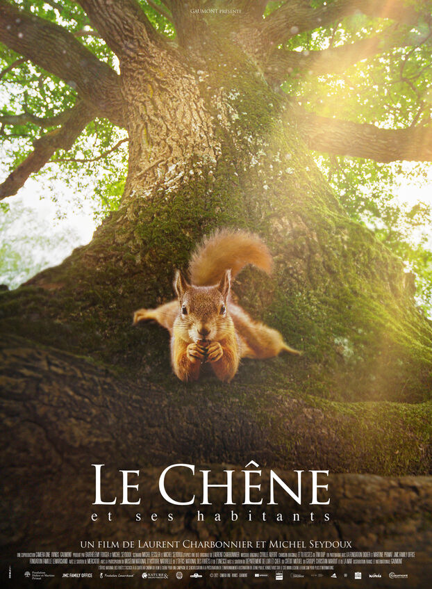 Projection Le Chêne