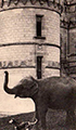 L'éléphant de Chaumont 1900