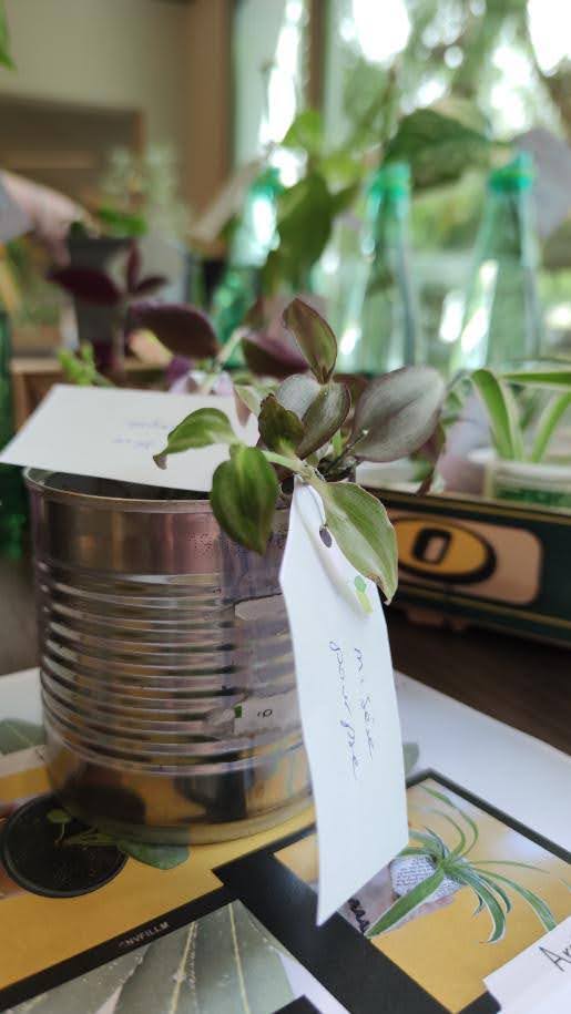 Troc de plantes et de graines
