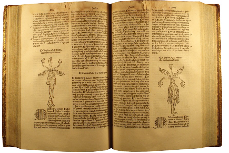 Johannes de Cuba - Hortus sanitatis - Paris : pour Antoine Vérard (1498-1502) - Cote I 43