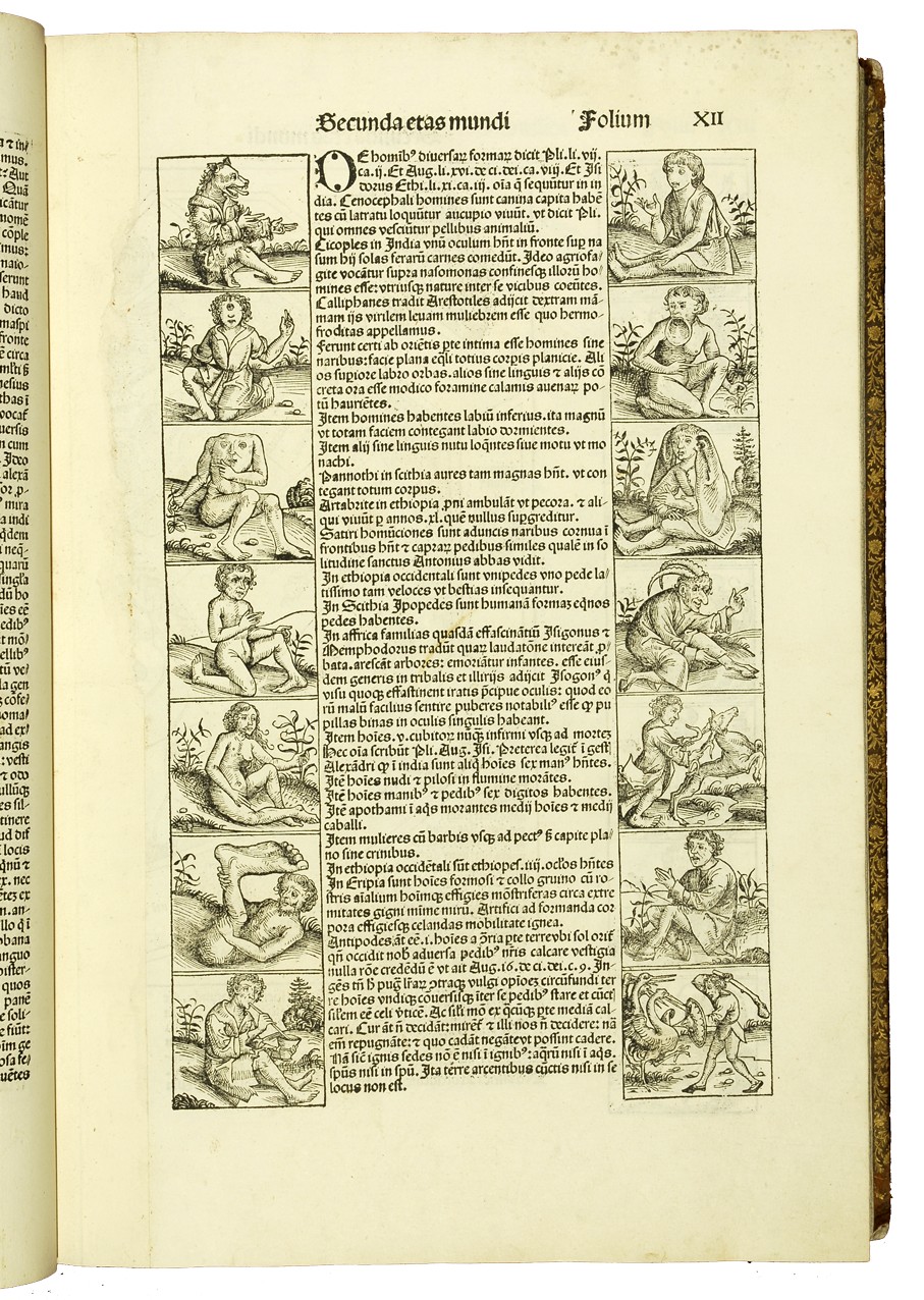 Hartmann Schedel - Liber chronicarum - Nürnberg : Anton Koberger pour Sebald Schreyer et Sebastian Kammermeister, 12 VII 1493 - Cote I 27